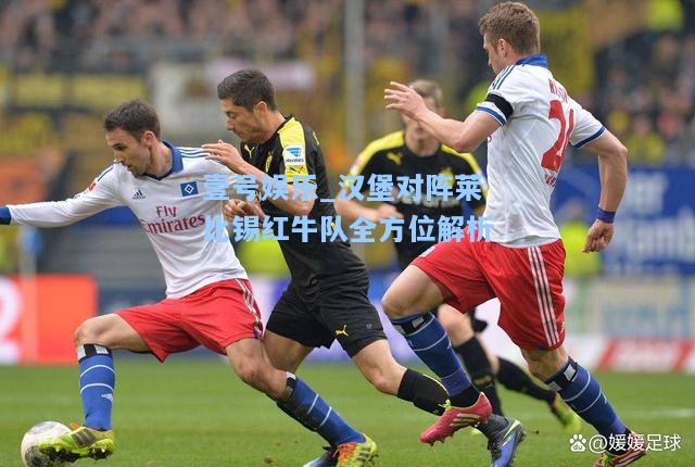 壹号娱乐_汉堡对阵莱比锡红牛队全方位解析